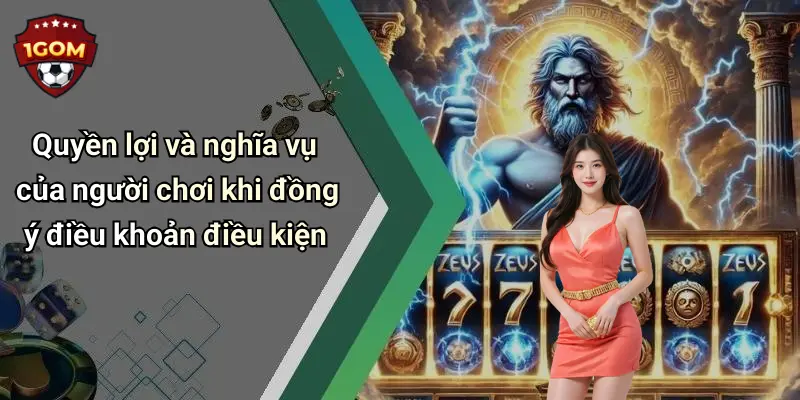 Quyền lợi và nghĩa vụ của người chơi khi đồng ý điều khoản điều kiện