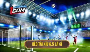 Kèo Tài Xỉu 6.5 Là Gì