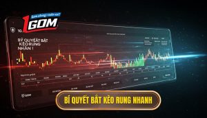 Bí Quyết Bắt Kèo Rung Nhanh
